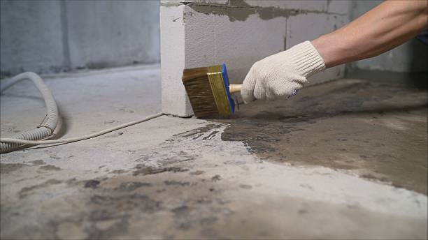 24/7 Emergency Waterproofing experts in Takoma Park, MD